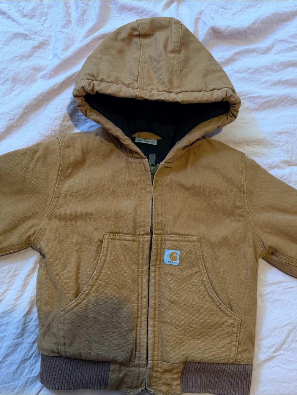 Carhartt Kids Brown Hooded Zip Jacket